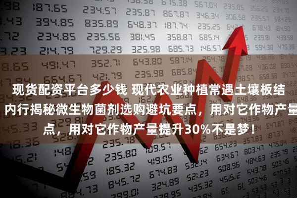 现货配资平台多少钱 现代农业种植常遇土壤板结、肥力不足难题？内行揭秘微生物菌剂选购避坑要点，用对它作物产量提升30%不是梦！