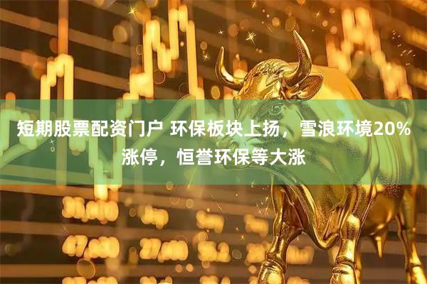 短期股票配资门户 环保板块上扬，雪浪环境20%涨停，恒誉环保等大涨